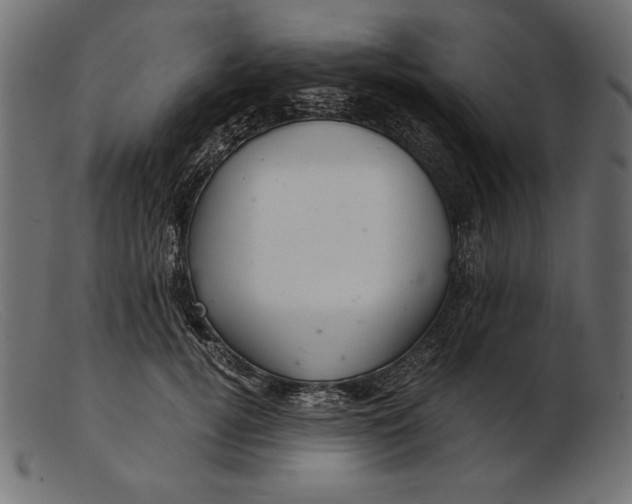 X0000103220752200809111508