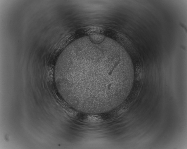 X0000103220753200809111508