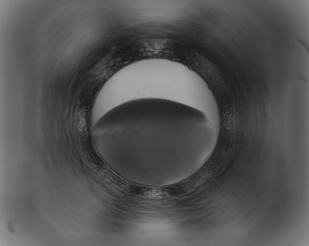 X0000103220754200809111508