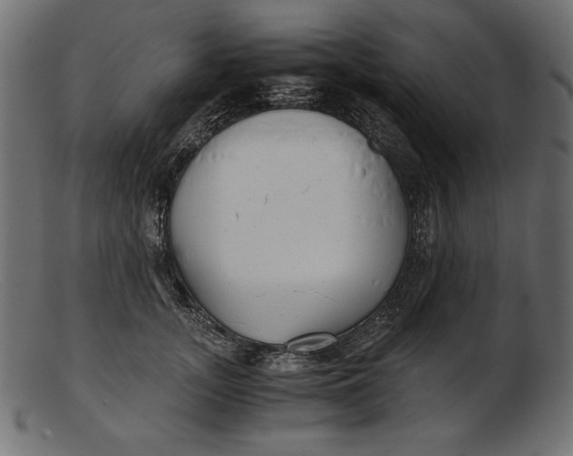 X0000103220755200809111508