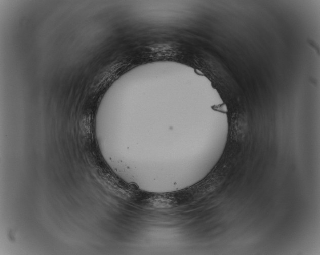 X0000103220756200809111508