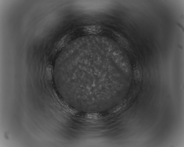 X0000103220757200809111508