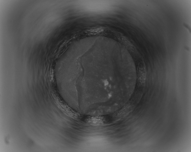 X0000103220758200809111508