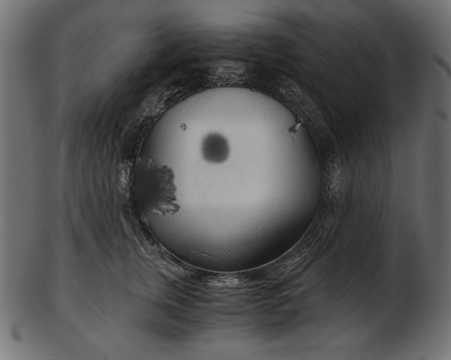 X0000103220759200809111508