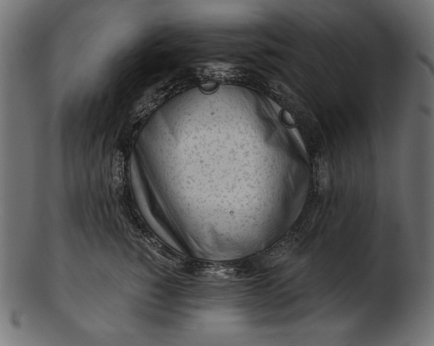 X0000103220760200809111508