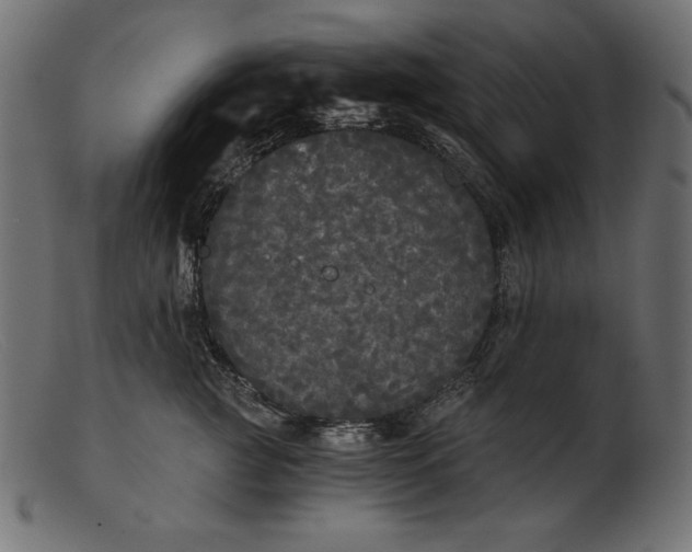 X0000103220761200809111508