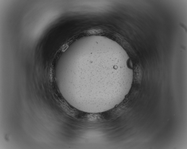 X0000103220762200809111508