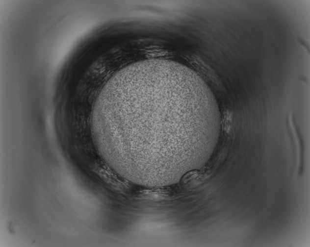 X0000103220763200809111508