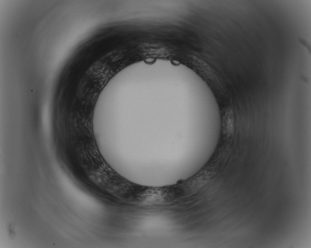 X0000103220764200809111508