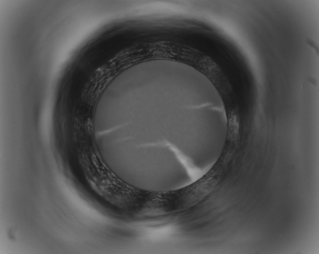 X0000103220765200809111508