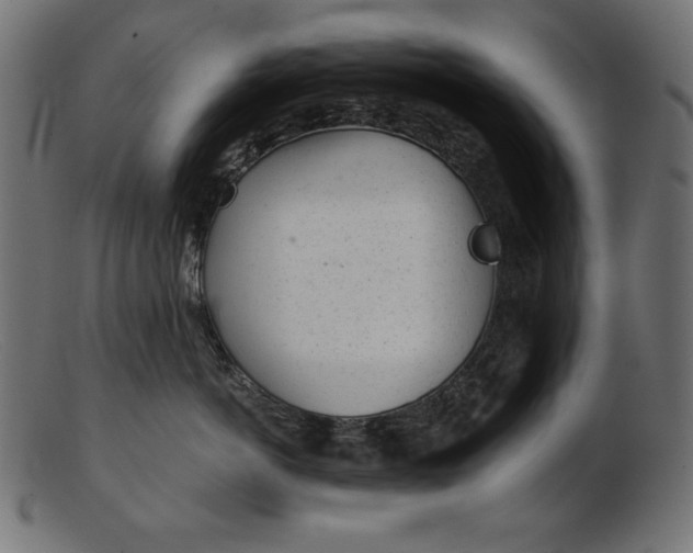 X0000103220766200809111508