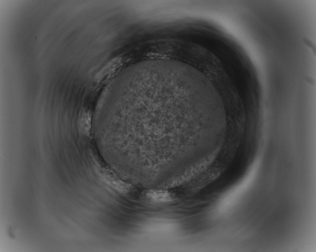 X0000103220767200809111508