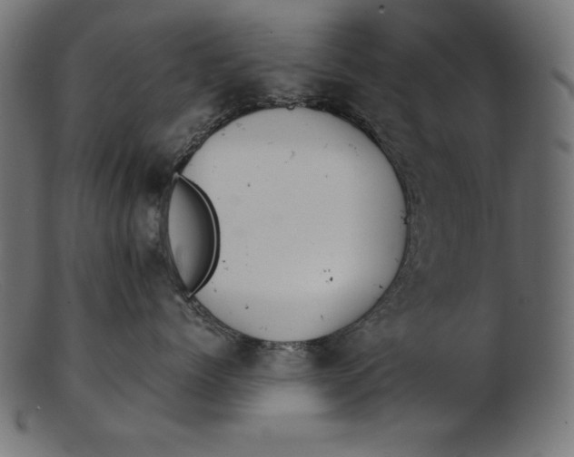 X0000103220768200809111508