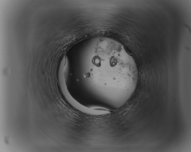 X0000103220769200809111507