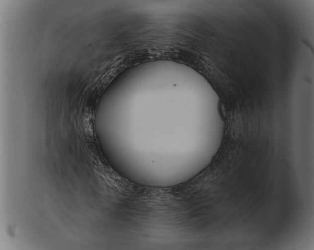 X0000103220770200809111507