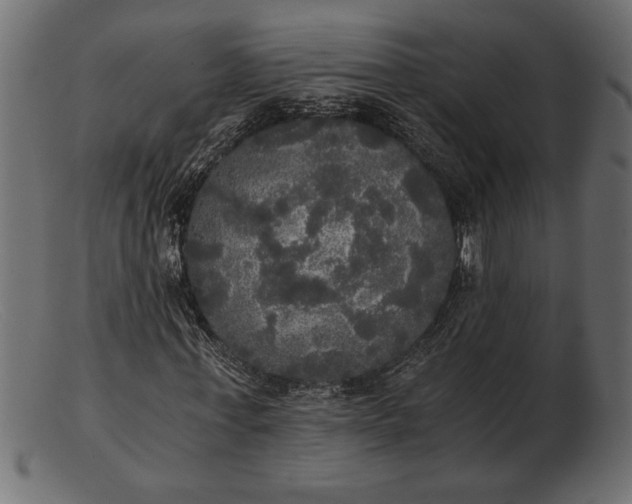 X0000103220771200809111507