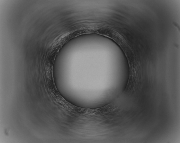 X0000103220773200809111507