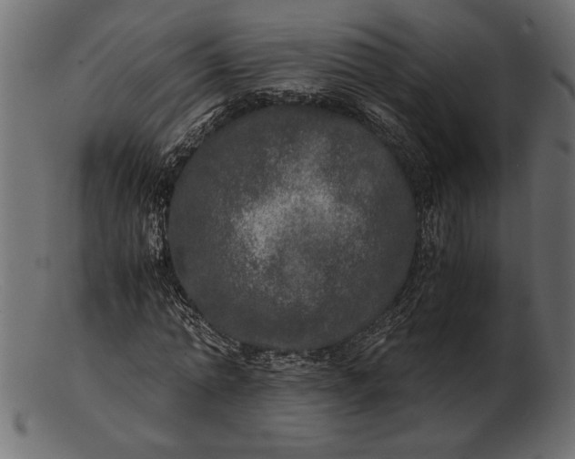 X0000103220774200809111507