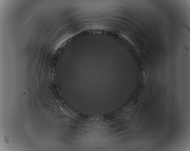 X0000103220775200809111507