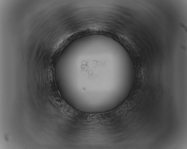 X0000103220776200809111507