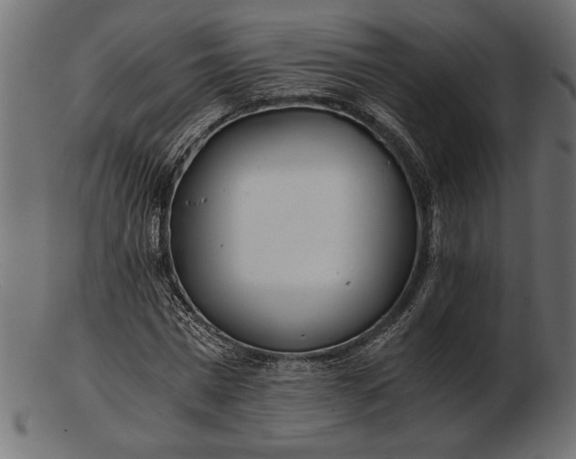 X0000103220777200809111507