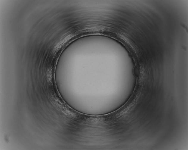 X0000103220778200809111507