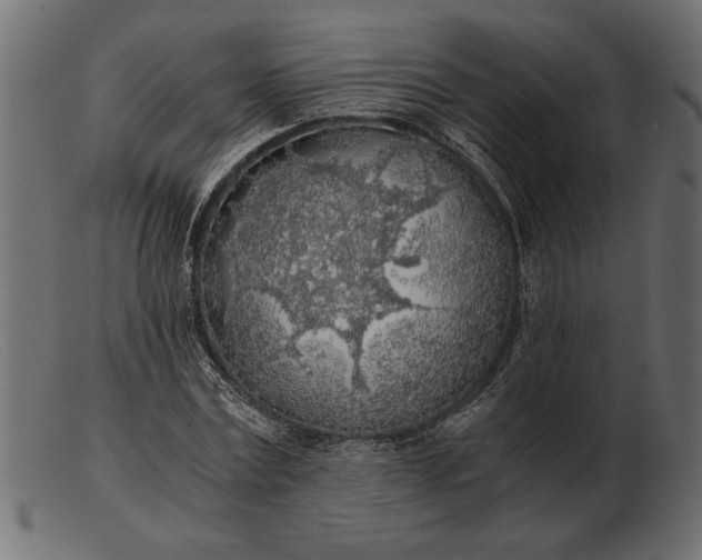 X0000103220779200809111507