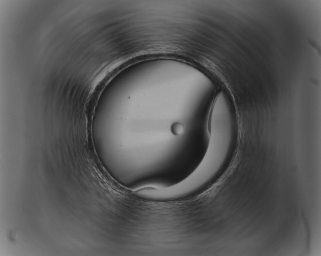 X0000103220781200809111507