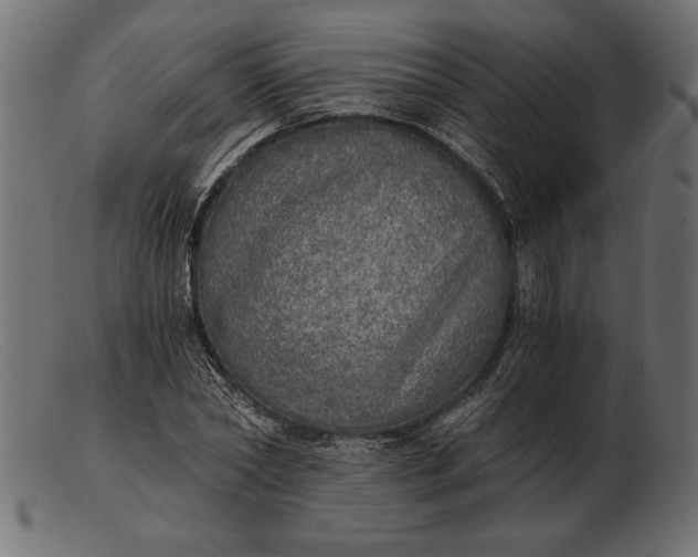 X0000103220782200809111507