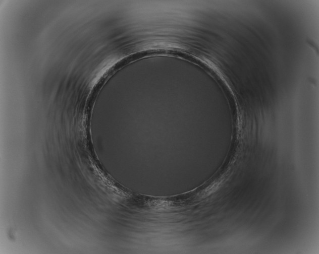 X0000103220783200809111507