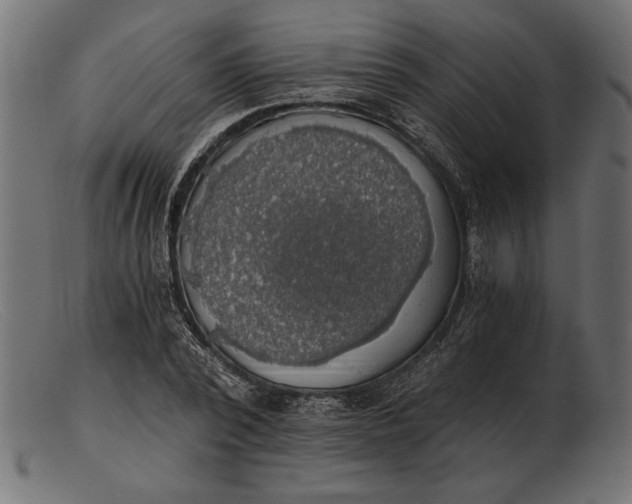 X0000103220784200809111507