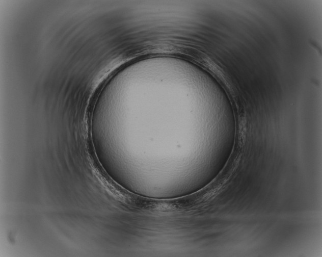 X0000103220787200809111507