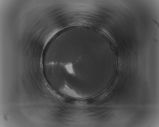 X0000103220788200809111507