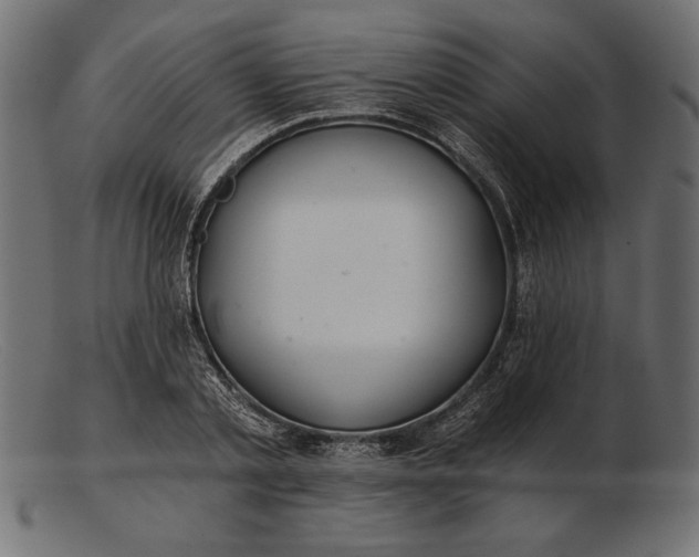 X0000103220789200809111507