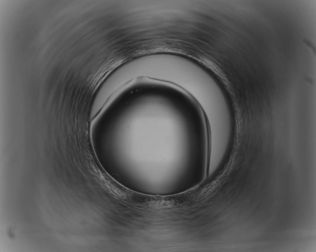 X0000103220793200809111507