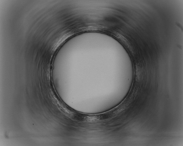 X0000103220794200809111507