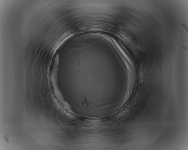 X0000103220798200809111507