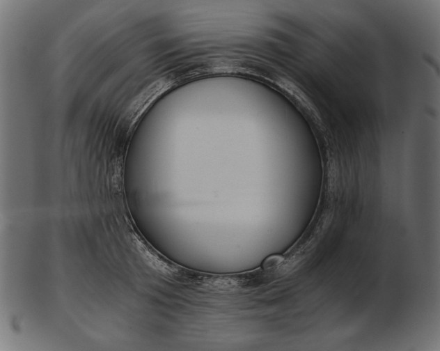 X0000103220801200809111507