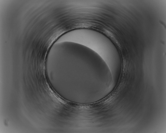 X0000103220802200809111507