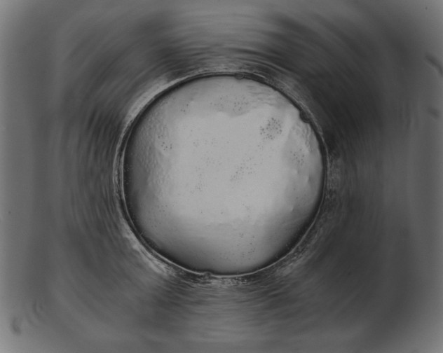 X0000103220803200809111507