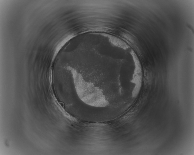 X0000103220804200809111507