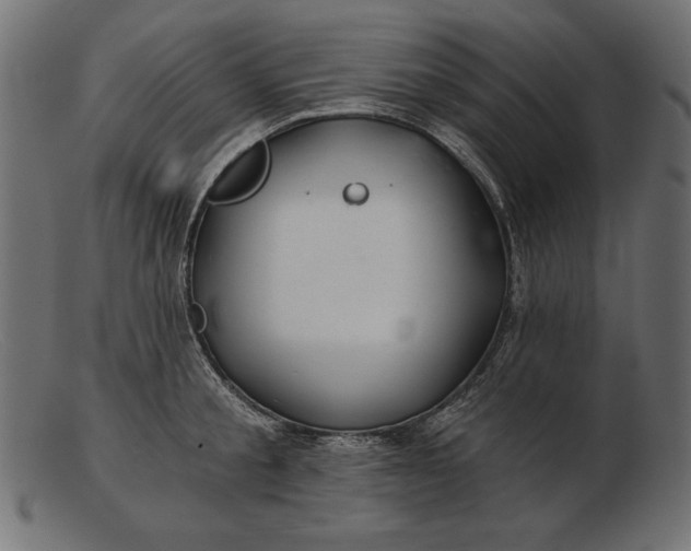 X0000103220805200809111507