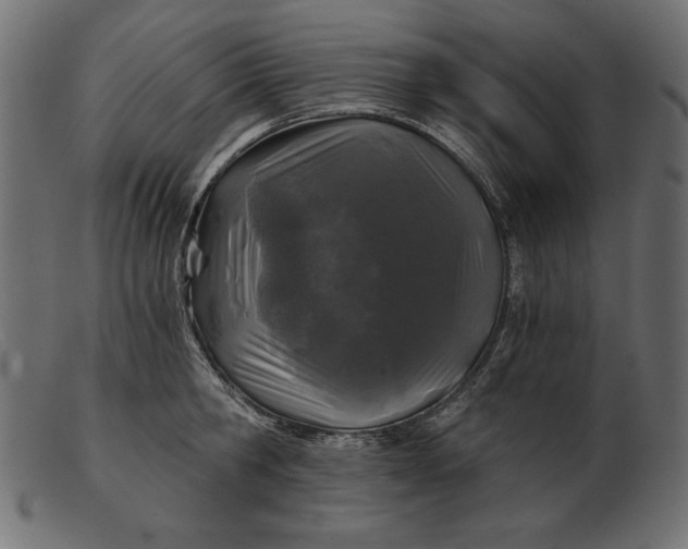 X0000103220806200809111507