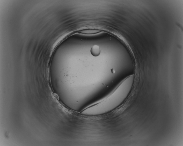 X0000103220807200809111507