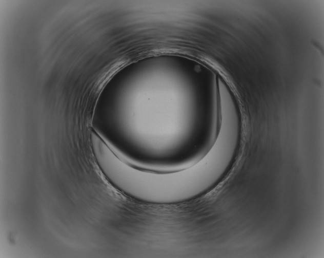 X0000103220809200809111507