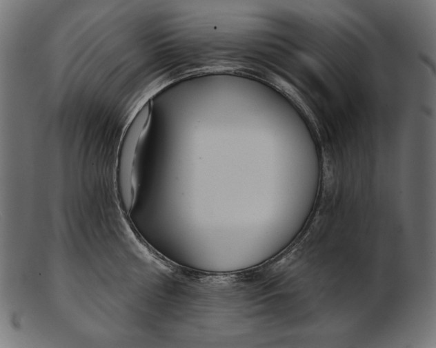 X0000103220810200809111507