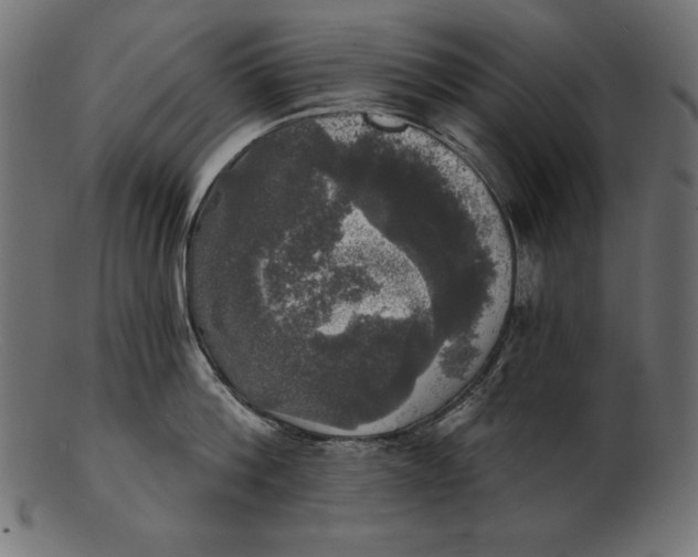 X0000103220812200809111507