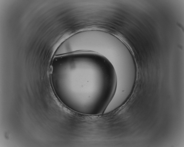 X0000103220813200809111506