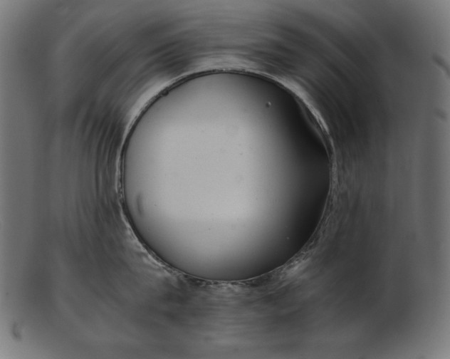 X0000103220815200809111506