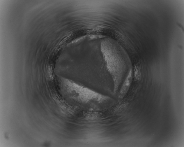 X0000103220819200809111506